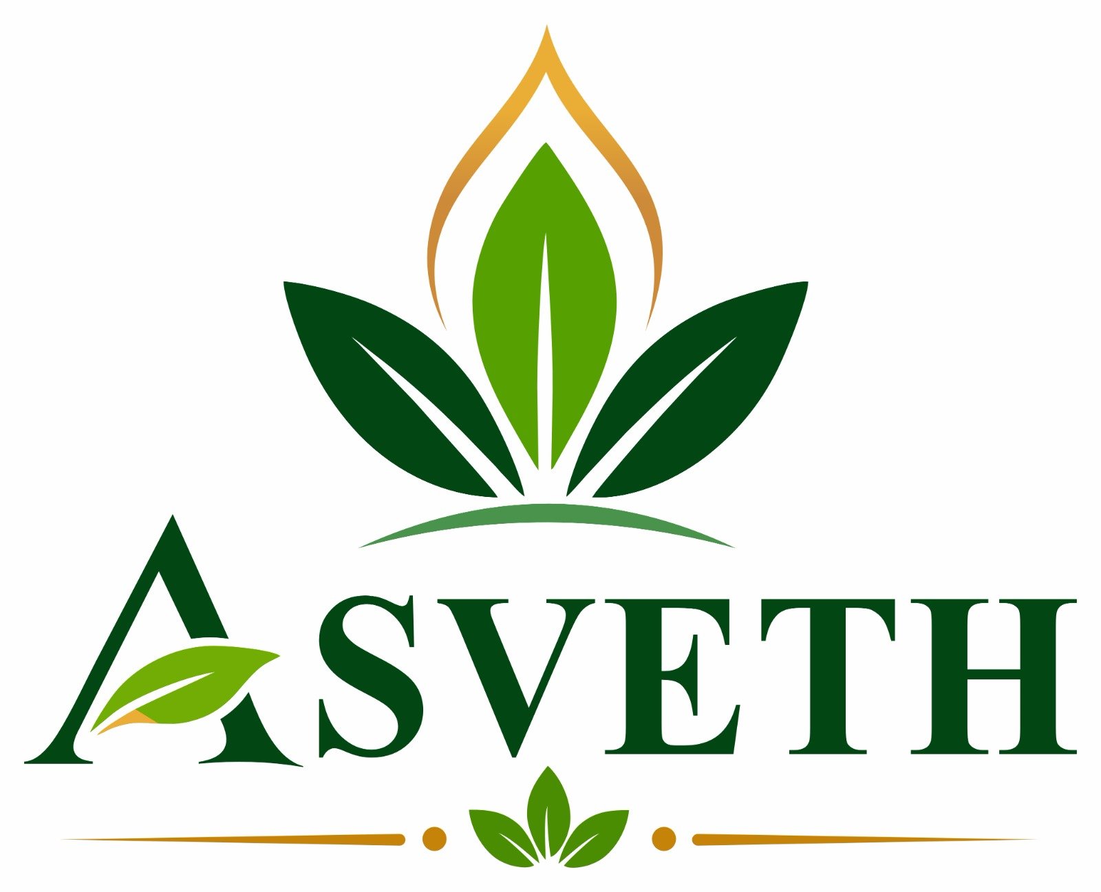 Asveth Enterprises
