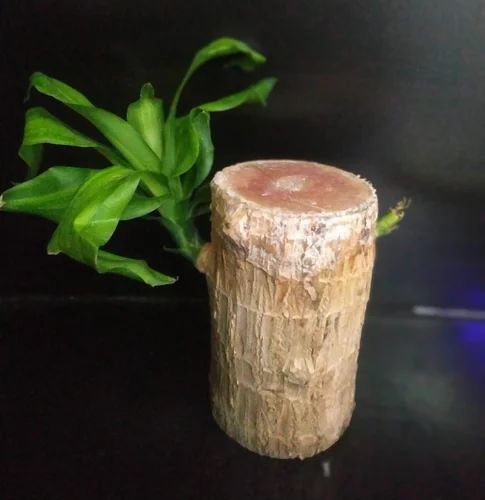 Brazilian lucky wood