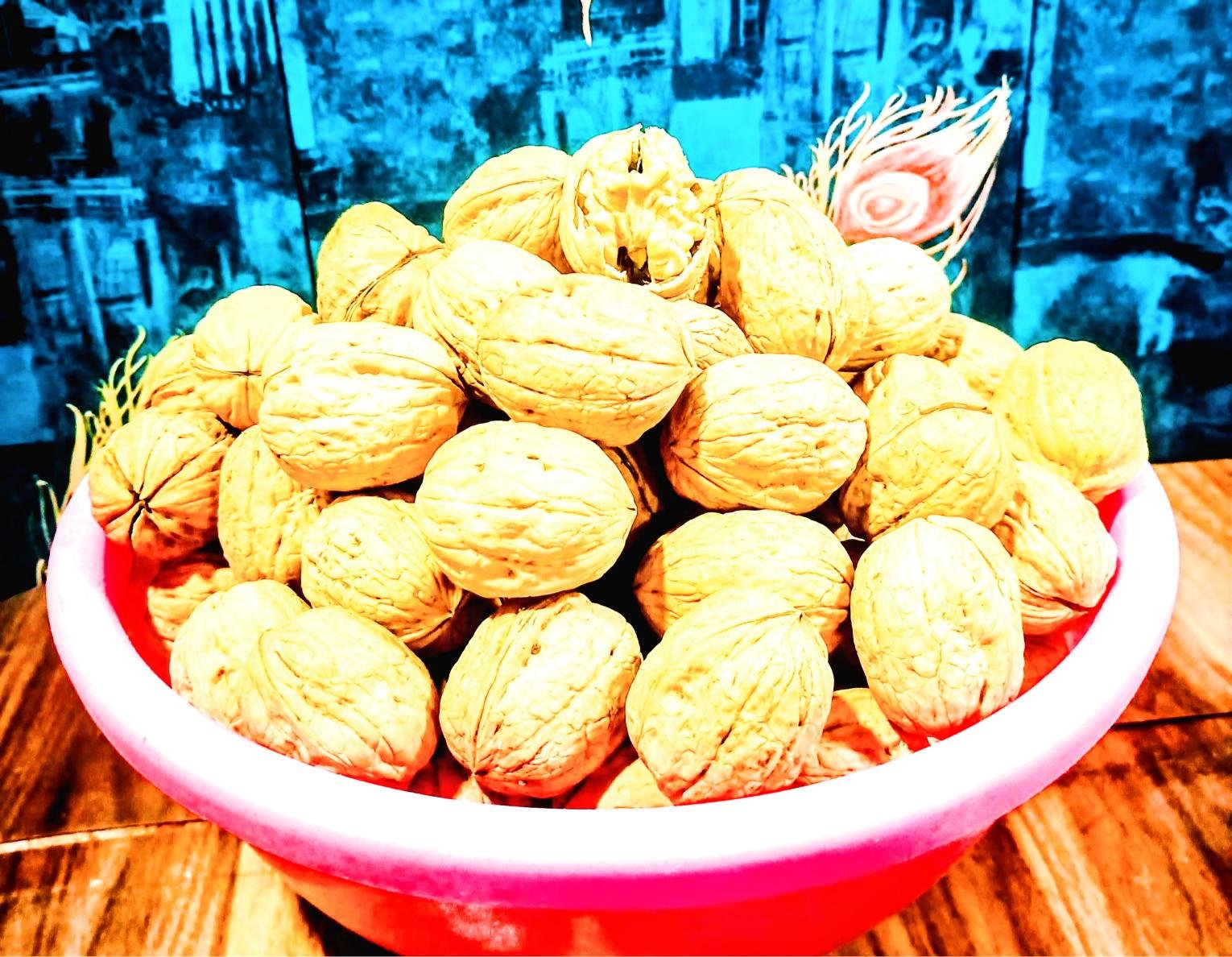 WALNUT SHELL 36+