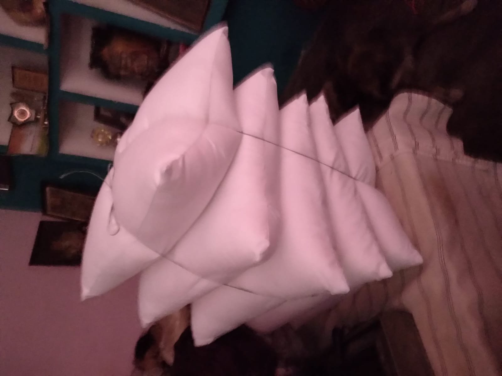 Chopped Pillow